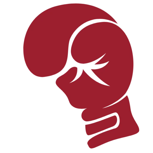 Favicon Club de Boxe Salon de Provence